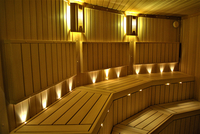 Оптоволоконное освещение в баню - Изображение #3, Объявление #1685760