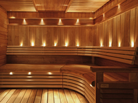 Декоративное освещение в сауне - Изображение #3, Объявление #1685768