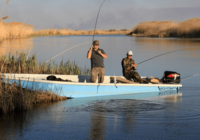 Лодка Wolf Craft 600 - Изображение #1, Объявление #1403908