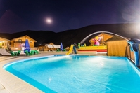 Фонтан для бассейна в форме дельфина  - Изображение #3, Объявление #1450424