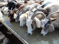 Автономные Солнечные Водяные Насосы - Изображение #4, Объявление #1634700