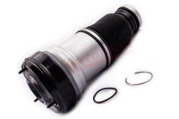 Пневмобаллон передний на Mercedes W220 - Изображение #2, Объявление #1714364