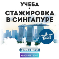  Учеба + оплачиваемая стажировка В Сингапуре - Изображение #1, Объявление #1718676