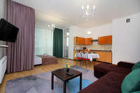 уютная однокомнатная квартира в ЖК Манхеттан (29 квартал) - Изображение #2, Объявление #1723093