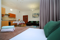 уютная однокомнатная квартира в ЖК Манхеттан (29 квартал) - Изображение #4, Объявление #1723093