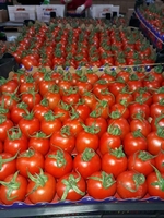 Помидоры из Ирана                                                 - Изображение #4, Объявление #1724273