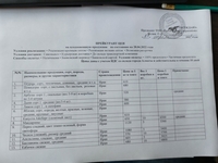 Арбузы сорт1, овальные ( вес 5-9 кг ) в каробках по 3-4шт  - Изображение #3, Объявление #1724323