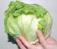 Капуста Айсберг ( салатный лист ) - Изображение #4, Объявление #1724327