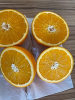 Лимон  - Изображение #1, Объявление #1724411