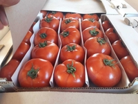 Помидоры........                                        - Изображение #6, Объявление #1724408