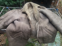 Продается дубленка! - Изображение #1, Объявление #1725914