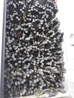 Носилки брезентовые санитарные (с хранения) - Изображение #1, Объявление #1727044