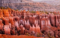 ЧАСТНЫЕ ТУР ГИДЫ В АМЕРИКЕ! - Изображение #3, Объявление #1732515