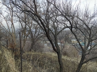 Продам участок в престижном районе - Изображение #2, Объявление #1737429