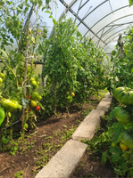 Дача/участок 6 соток. Кооператив "Политехник". Фёдоровка - Изображение #2, Объявление #1738216