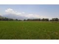 Участок 27 соток в Талгаре - Изображение #1, Объявление #1739436