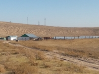 Участок 350 га в Кунаева - Изображение #2, Объявление #1739438