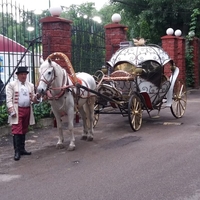 карета - Изображение #3, Объявление #1740442