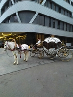 карета - Изображение #5, Объявление #1740442