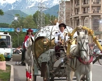 карета - Изображение #2, Объявление #1740442