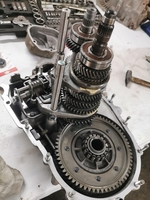 LADA СЕРВИС АЛМАТЫ — НАДЁЖНО И ДОСТУПНО! - Изображение #2, Объявление #1749097