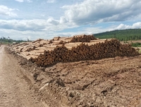 Вагонка, террасная доска, доска пола, имитация бруса, планкен.  - Изображение #6, Объявление #1749225