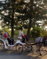 Аренда кареты , пони, лошадей  - Изображение #4, Объявление #1750543