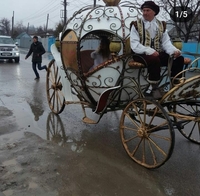 Аренда кареты , пони, лошадей  - Изображение #10, Объявление #1750543