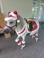 Аренда кареты , пони, лошадей  - Изображение #9, Объявление #1750543