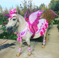 Аренда кареты , пони, лошадей  - Изображение #1, Объявление #1750543