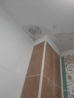 Удаление пятен на потолке 100% гарантия - Изображение #1, Объявление #1751900