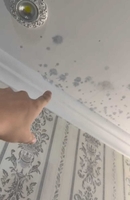 Удаление пятен на потолке 100% гарантия - Изображение #3, Объявление #1751900