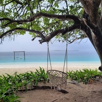 Новый2026 год Огненной Лошади  – ТВОЯ НОВАЯ ЖИЗНЬ!  - Изображение #2, Объявление #1752251