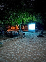 Новый2026 год Огненной Лошади  – ТВОЯ НОВАЯ ЖИЗНЬ!  - Изображение #3, Объявление #1752251