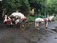 Карета, свадебная карета - Изображение #2, Объявление #1752517