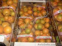 Фрукты и овощи Испанского происхождения - Изображение #10, Объявление #816167