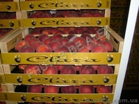 Фрукты и овощи Испанского происхождения - Изображение #4, Объявление #816167