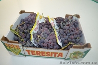 Фрукты и овощи Испанского происхождения - Изображение #5, Объявление #816167