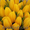 Тюльпаны голландские к 8 марта - Изображение #2, Объявление #173505