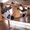 Школа Танцев 4U - Изображение #3, Объявление #170759