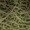 Напольные покрытия ковролан лиолеум паркетная доска грязезащита - Изображение #2, Объявление #268537