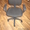Продам офисные кресла новые           #373065
