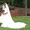 прокат испанского свадебного платья - Изображение #1, Объявление #373460