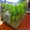 Аквариум рыбки растения - Изображение #7, Объявление #428673
