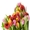 тюльпаны и каллы к 8 марта #557435