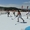 Комплектные хоккейные площадки с синтетическим льдом нового поколения - Изображение #8, Объявление #581806