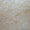 Мрамор, мозайка мраморная - Изображение #4, Объявление #611159