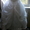 Продам свадебное платье (произ-во Польша) - Изображение #3, Объявление #672521