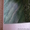 Роспись стен (картины) Декоративная штукатурка  Венецианка  - Изображение #6, Объявление #718798