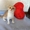 Продам шотланского вислоухого котёнка, цена договорная - Изображение #2, Объявление #736175